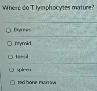 Where do T lymphocytes mature?
thymus
thyroid
tonsil
spleen
red bone marrow