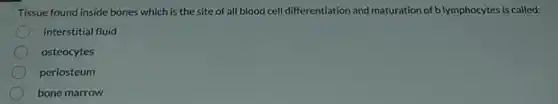 Tissue found inside bones which is the site of all blood cell differentiation and maturation of blymphocytes is called:
interstitial fluid
osteocytes
periosteum
bone marrow