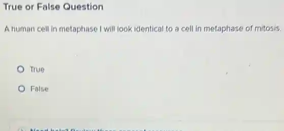 True or False Question
A human cell in metaphase I will look identical to a cell in metaphase of mitosis.
True
False