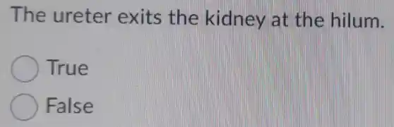 The ureter exits the kidney at the hilum.
True
False
