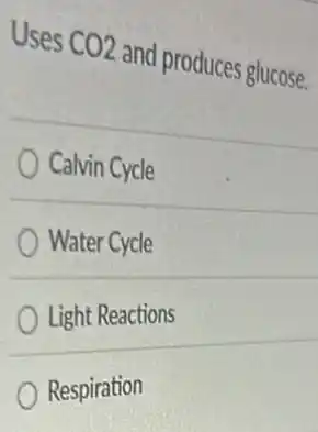 Uses CO2 and produces glucose.
Calvin Cycle
Water Cycle
Light Reactions
Respiration
