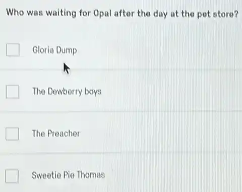 Who was waiting for Opal after the day at the pet store?
Gloria Dump
The Dewberry boys
The Preacher
Sweetie Pie Thomas