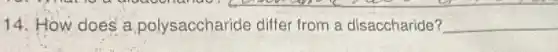 14. How does a polysaccharide differ from a disaccharide? __