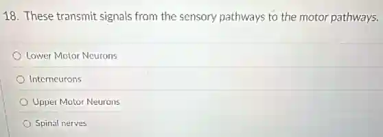 18. These transmit signals from the sensory pathways to the motor pathways.
Lower Motor Neurons
Interneurons
Upper Motor Neurons
Spinal nerves