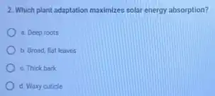 2. Which plant adaptation maximizes solar energy absorption?
a. Deep roots
b. Broad, flat leaves
c. Thick bark
d. Waxy cuticle