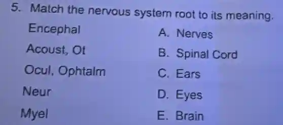 5. Match the nervous system root to its meaning.
Encephal
Acoust, Ot
Ocul, Ophtalm
Neur
Myel
A. Nerves
B. Spinal Cord
C. Ears
D. Eyes
E. Brain