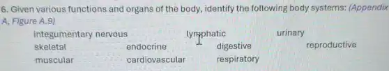 6. Given various functions and organs of the body, identify the following body systems: (Appendix
A, Figure A.9)
integumentary nervous	lyrpphatic	urinary
skeletal	endocrine	digestive	reproductive
muscular	cardiovascular	respiratory