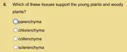 6. Which of these tissues support the young plants and woody
plants?
parenchyma
chlorenchyma
collenchyma
sclerenchyma