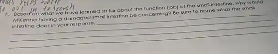 7. Based on what we have learned so far about the function (job) of the small intestine, why would
Mikenna having a damaged small intestine be concerning?Be sure to name what the small
__