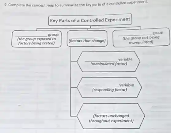9. Complete the concept map to summarize the key parts of a controlled experiment.


multicolumn(3)(|c|)(Key Parts of a Controlled Experiment) 

 
group 
(the group exposed to 
factors being tested)
 & 
group 
(factors that change)
 & 
group 
(the group not being 
manipulated)
 

& & 
variable 
(minipulated factor)
 

& & 
variable 
(responding factor)
 

& & 
variable 
(responding factor)
 

& & 
appropriate 
(factors unchanged 
throughout experiment)