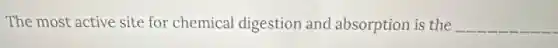 The most active site for chemical digestion and absorption is the __