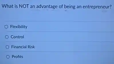 What is NOT an advantage of being an entrepreneur?
Flexibility
Control
Financial Risk
Profits