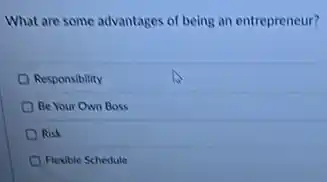 What are some advantages of being an entrepreneur?
Responsibility
Be Your Own Boss
Risk
Flexible Schedule