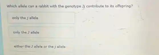 Which allele can a rabbit with the genotype Jj contribute to its offspring?
only the j allele
only the J allele
either the Jallele or the j allele