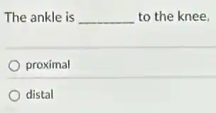 The ankle is __ to the knee.
proximal
distal