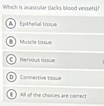 Which is avascular (lacks blood vessels)?
A Epithelial tissue
B Muscle tissue
C Nervous tissue
D Connective tissue
E All of the choices are correct