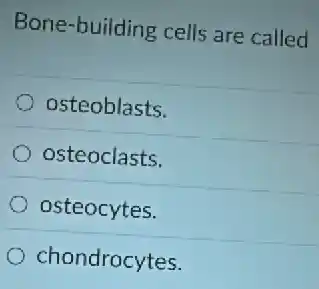 Bone-building cells are called
osteoblasts.
osteoclasts.
osteocytes.
chondrocytes.