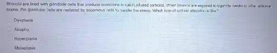 Bronchi are lined with glandular cells that produce secretions to catch inhaled particles. When bronchi are exposed to cigarette smoke or other airborne
toxins, the glandular cells are replaced by squamous cells to handle the stress. Which type of collular alteration is this?
Dysplasia
Alrophy
Hyperplasia
Metaplasia