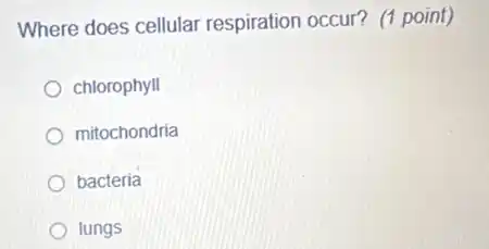 Where does cellular respiration occur?(1 point)
chlorophyll
mitochondria
bacteria
lungs