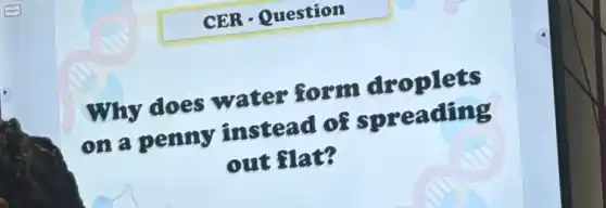 CER - Question
Why does water form droplets
on a penny instead of spreading
out flat?