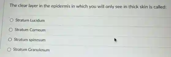 The clear layer in the epidermis in which you will only see in thick skin is called:
Stratum Lucidum
Stratum Corneum
Stratum spinosum
Stratum Granulosum