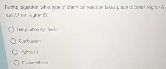 During digestion, what type of chemical reaction takes place to break region A
apart from region B?
Dehydration Synthesis
Combustion
Hydrolysis
Photosynthesis