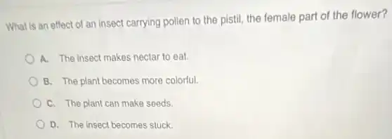 What is an effect of an insect carrying pollen to the pistil,the female part of the flower?
A. The insect makes nectar to eat.
B. The plant becomes more colorful.
C. The plant can make seeds.
D. The insect becomes stuck.