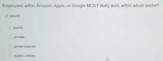 Employees within Amazon, Apple, or Google MOST likely work within which sector?
(1 point)
public
private
governmental
public utilities