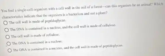 You find a single -cell organism with a cell wall in the soil of a forest-can this organism be an animal? Which
characteristics indicate that the organism is a bacterium and not a plant?
The cell wall is made of peptidoglycan.
The DNA is contained in a nucleus, and the cell wall is made of cellulose.
The cell wall is made of cellulose.
The DNA is contained in a nucleus.
The DNA is contained in a nucleus, and the cell wall is made of peptidoglycan.