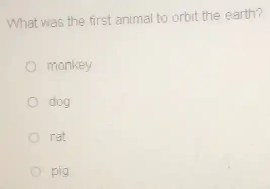 What was the first animal to orbit the earth?
monkey
dog
rat
pig