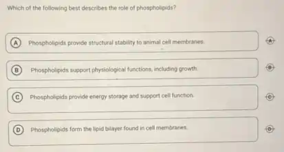 Which of the following best describes the role of phospholipids?
A Phospholipids provide structural stability to animal cell membranes.
B Phospholphts support physiolopical functions including growth.
C Phospholipids provide energy storage and support cell function.
D Phospholipids form the lipid bilayer found in cell membranes.
