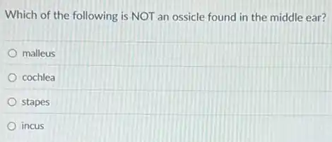 Which of the following is NOT an ossicle found in the middle ear?
malleus
cochlea
stapes
incus
