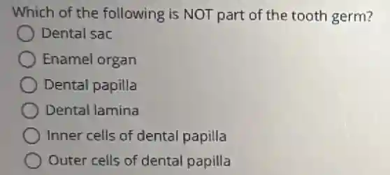 Which of the following is NOT part of the tooth germ?
Dental sac
Enamel organ
Dental papilla
Dental lamina
Inner cells of dental papilla
Outer cells of dental papilla