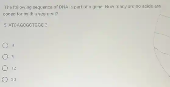 The following sequence of DNA is part of a gene. How many amino acids are
coded for by this segment?
5' ATCAGCGCTGGC 3'
4
8
12
20
