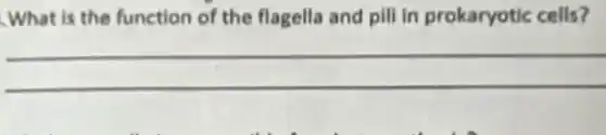 What is the function of the flagella and pill in prokaryotic cells?
__