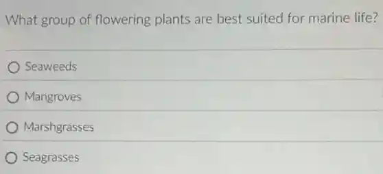 What group of flowering plants are best suited for marine life?
Seaweeds
Mangroves
Marshgrasses
) Seagrasses