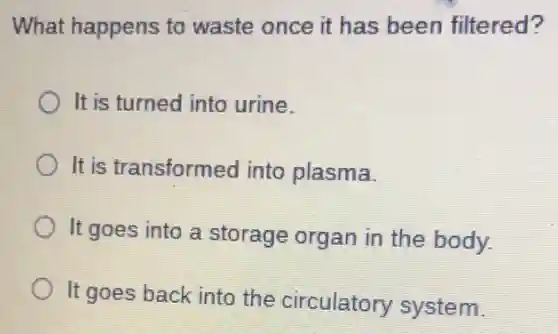 What happens to waste once it has been filtered?
It is turned into urine.
It is transformed into plasma.
It goes into a storage organ in the body.
It goes back into the circulatory system.