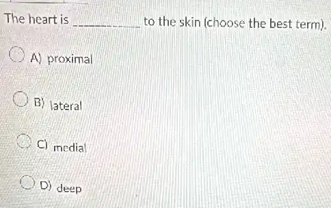 The heart is __ to the skin (choose the best term).
A) proximal
B) lateral
C) medial
D) deep