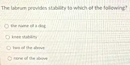 The labrum provides stability to which of the following?
the name of a dog
knee stability
two of the above
none of the above