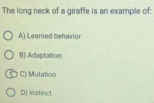 The long neck of a giraffe is an example of:
A) Learned behavior
B) Adaptation
C) Mutation
D) Instinct