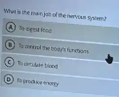 What is the mainjob of the nervous system?
A To digest food
B To control the body's functions
C To circulate blood
D To produce energy