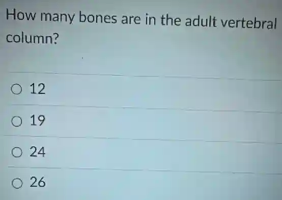 How many bones are in the adult vertebral
column?
12
19
24
26