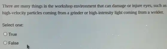 There are many things in the workshop environment that can damage or injure eyes,such as
high-velocity particles coming from a grinder or high-intensity light coming from a welder.
Select one:
True
False