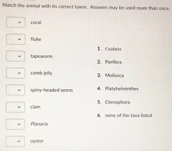 Match the animal with its correct taxon Answers may be used more than once.
square coral
square fluke
square tapeworm
square comb jelly
square spiny-headed worm
square clam
square Planaria
square oyster
1. Cnidaria
2. Porifera
3. Mollusca
4. Platyhelminthes
5. Ctenophora
6. none of the taxa listed