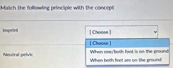 Match the following principle with the concept
Imprint
square 
[Choose]
[Choose]
When one/both foot is on the ground
Neutral pelvic