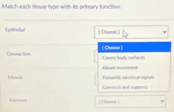 Match each tissue type with its primary function:
Epithelial
square 
square 
[Choose]
Covers body surfaces
Allows movement
Transmits electrical signals
Connective
Muscle
Nervous
square