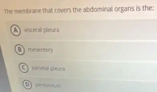The membrane that covers the abdominal organs is the:
A visceral pleura
B mesentery
C parietal pleura
D peritoneum