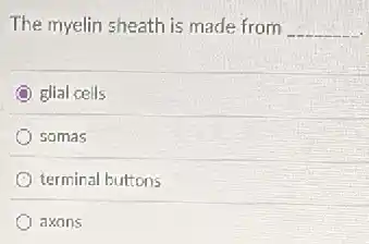 The myelin sheath is made from __
glial cells
somas
terminal buttons
axons