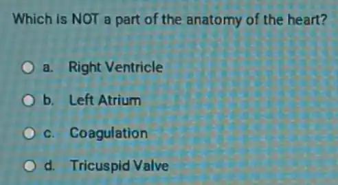 Which is NOT a part of the anatomy of the heart?
a. Right Ventricle
b. Left Atrium
c. Coagulation
d. Tricuspid Valve
