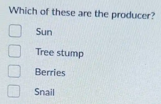 Which of these are the producer?
Sun
Tree stump
Berries
Snail